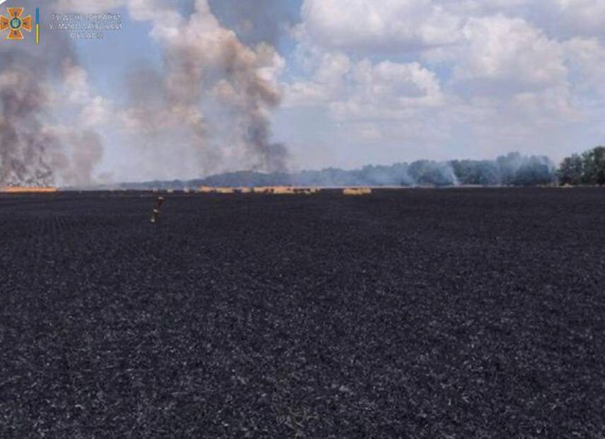 ukraine wheat field russian forces shelling