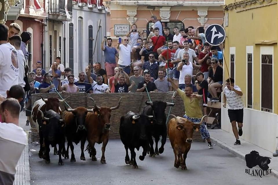 22-year-old female hospitalised after being gored during a bull run in Valladolid
