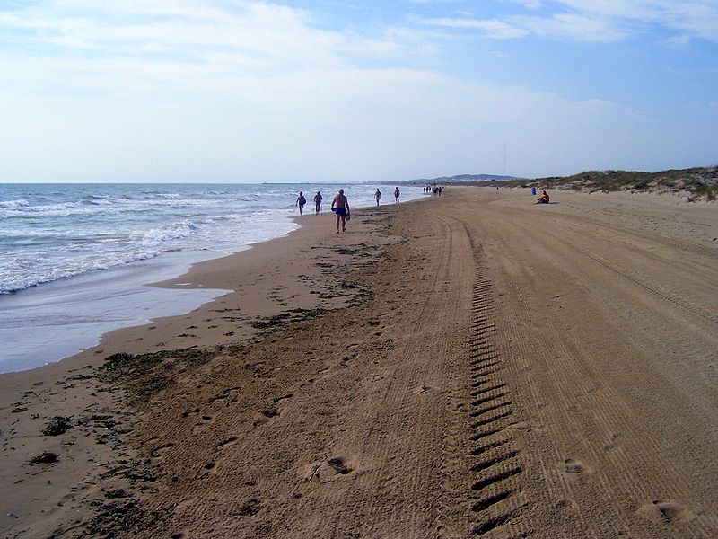 Residents' associations seek urgent solutions for disappearing beaches in Elche (Alicante)