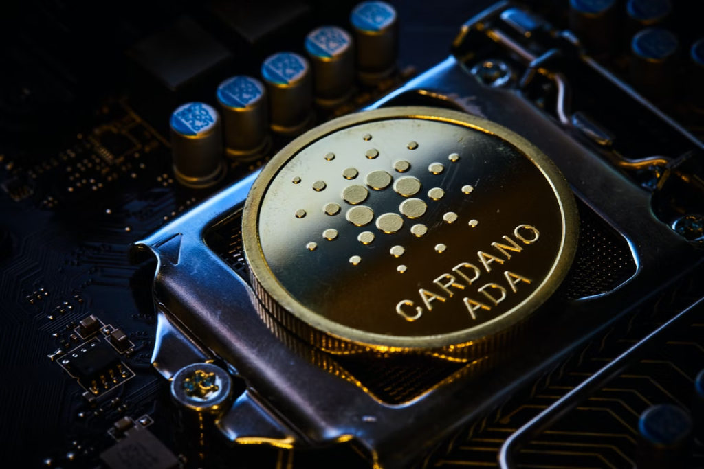 DeFi Cryptocurrency stocks everyone is checking out this quarter- HachiFi and Cardano
