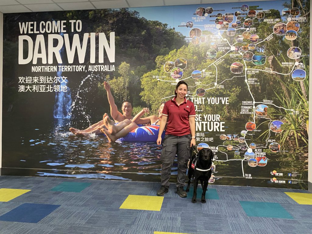 Detector Dog Zinta in Darwin with handler at Darwin airport Australia.