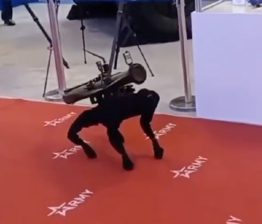 WATCH: M-81 robot dog armed with RPG-26 at Army 2022 defence expo in Russia