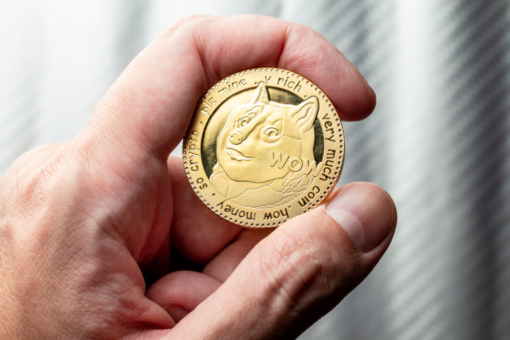 Top Meme tokens every crypto user’s should buy at the cryptocurrency market: Dogecoin, Shiba Inu, and RoboApe