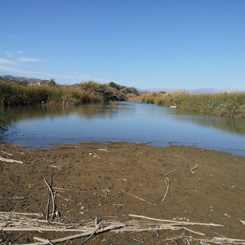 Velez-Malaga urges Junta de Andalucia to clean rural streams and rivers