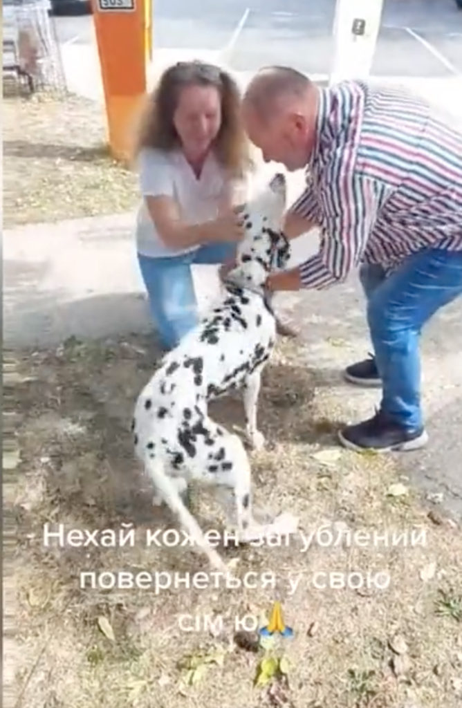 WATCH: Heartwarming moment dog is reunited with family who fled Mariupol, Ukraine