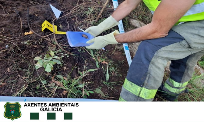 Woman caught red-handed in Ourense in possession of items to ignite a forest fire