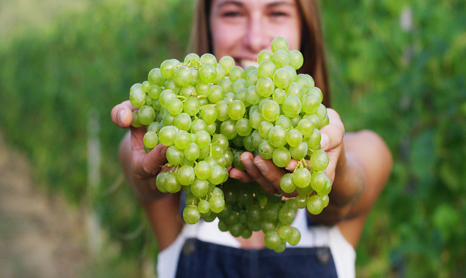 Image of a woman holding green grapes in her hand.