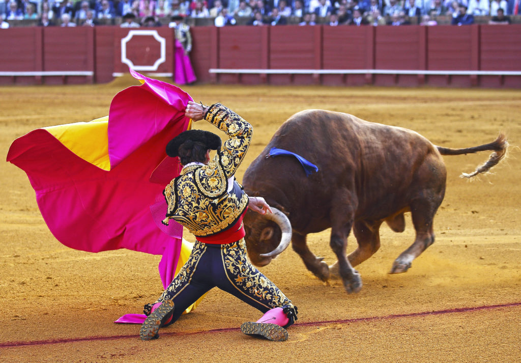 Image - bullfighting: David Pineda Svenske/shutterstock