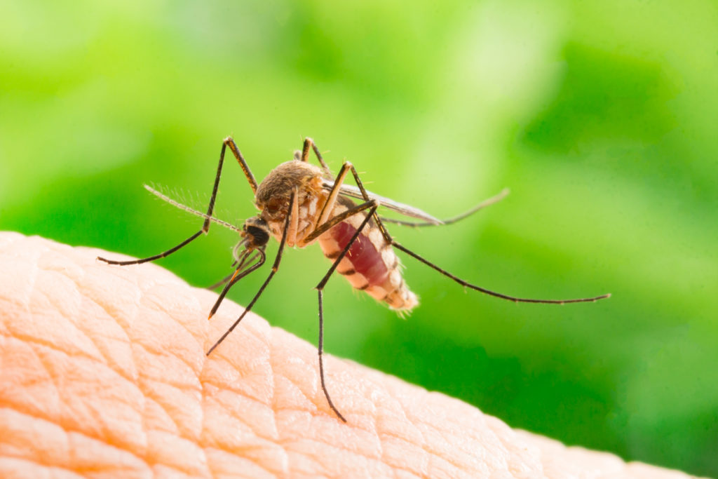 Cases of West Nile virus are growing rapidly up 93 per cent in a week.