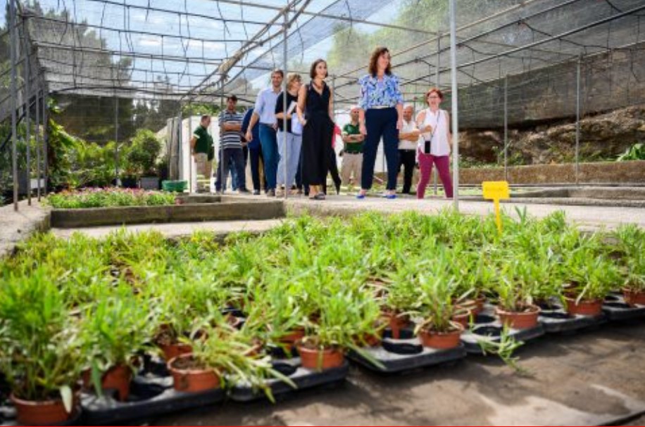 Almeria highlights work of municipal nursery as a source of research and knowledge