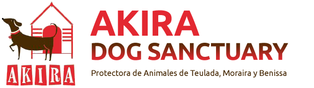 Calling Costa Blanca animal lovers: Quiz Night fun in aid of AKIRA.