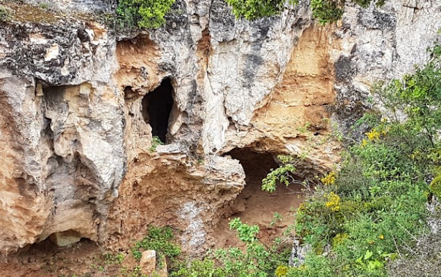Facial bones 1.4m years old excavated in Burgos, Northern Spain could rewrite human prehistory