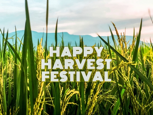 Harvest Festival in Torrevieja