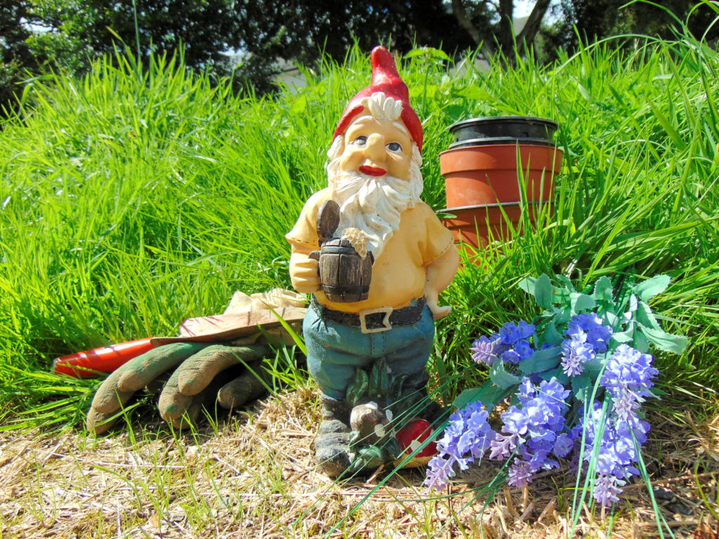 Garden gnomes seem to be like Marmite, people tend to love them or not!