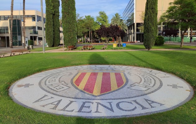 Workman dies after falling from the pool deck of the Polytechnic University of Valencia
