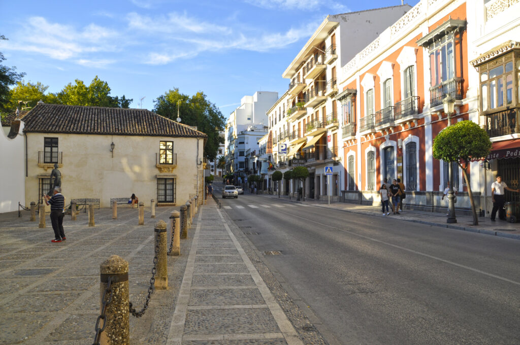 Man arrested after 'sexually assaulting woman and exposing himself' in Malaga street