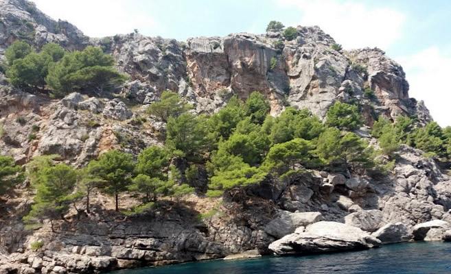 75-year-old Irish tourist dies after falling around 10 metres from a cliff in Escorca, Mallorca