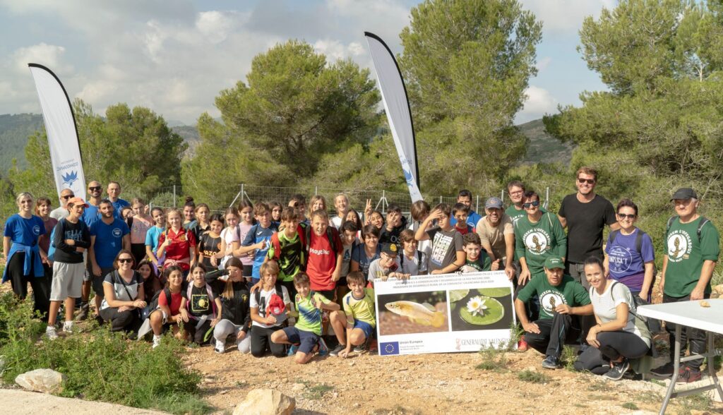 Newts doing nicely thanks to Valencian Community's conservation and breeding programme