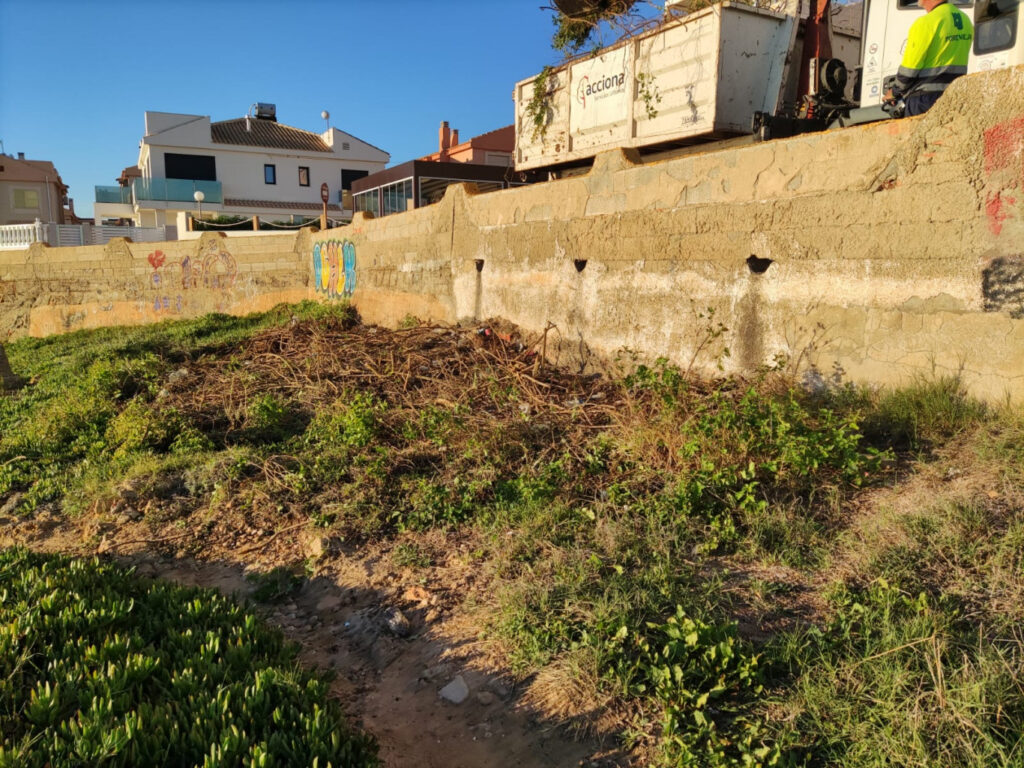 Unwanted invaders removed from the Cabo Cervera micro-reserve in Torrevieja (Alicante)