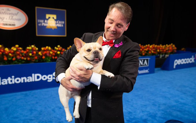 French bulldog takes top prize at the National Dog Show