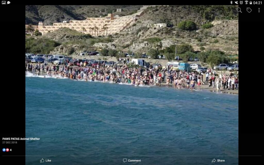 Are you brave enough to have a dip on New Year’s Day all for a good ...