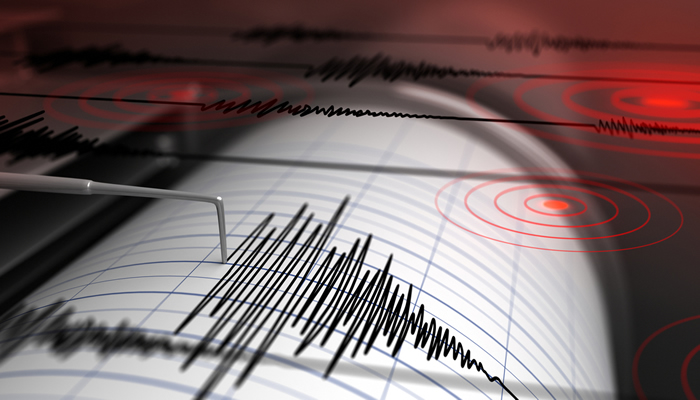 Image of an earthquake being registered.