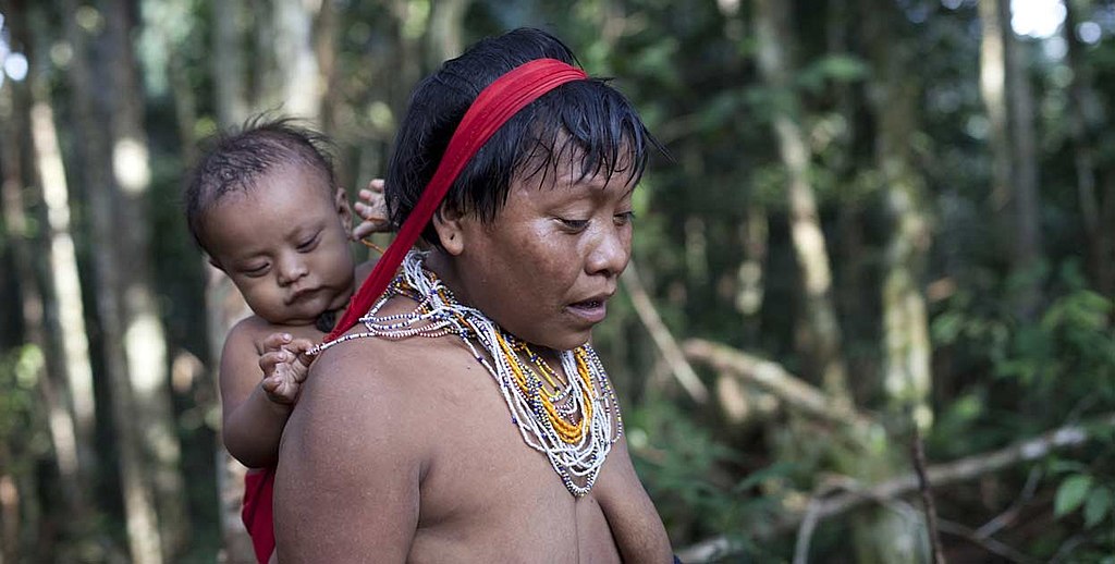 Over 570 indigenous children dead as Brazil declares medical emergency and starts investigations.