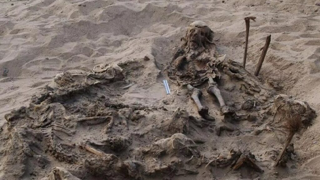 Archaeologists in Egypt discover mysterious ancient burial site containing a child with 142 dogs