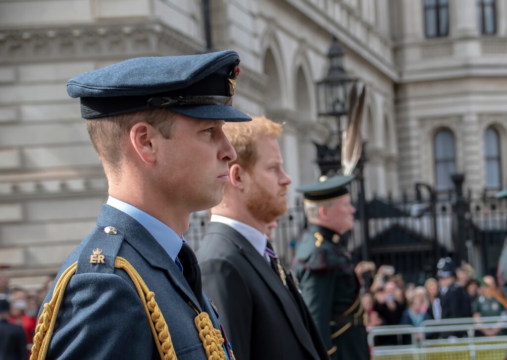 Prince Harry set to aim shocking accusations against his brother William