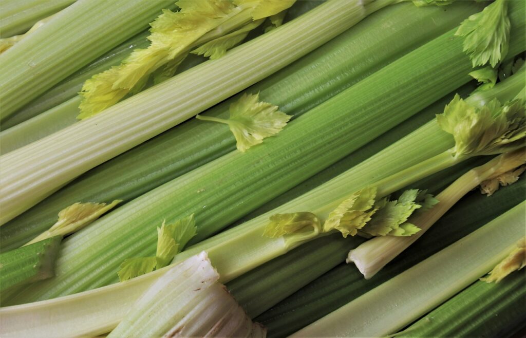 Chemical found in celery seeds could help recovery of stroke patients
