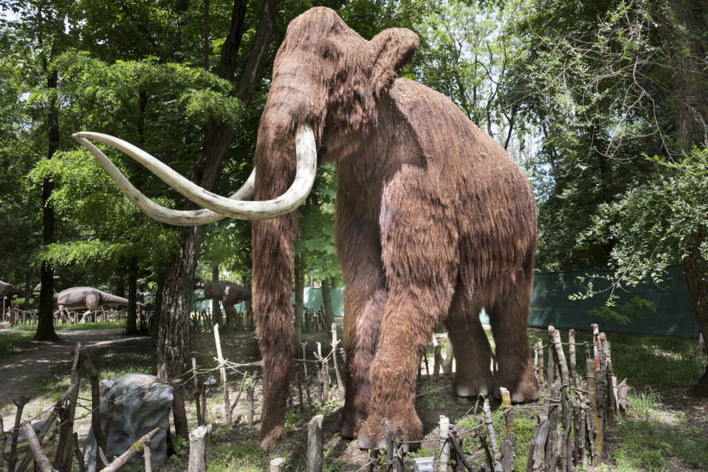 Scientists plan to bring back mammoths and dodo birds