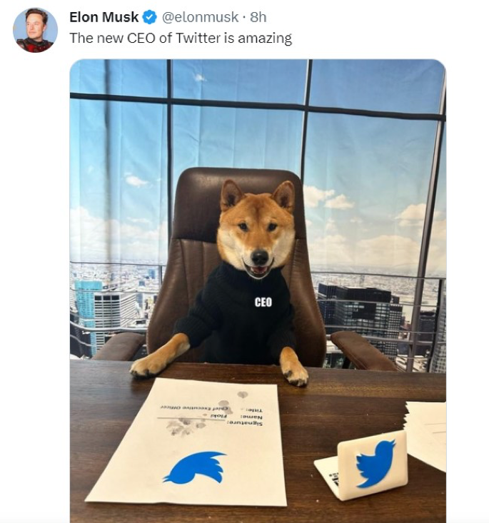Twitter’s “New CEO” pumps prices of DOGE and Floki Inu as Big Eyes Coin ...
