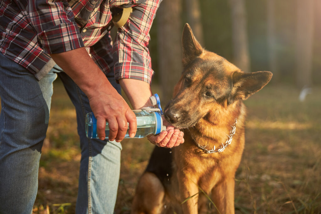 Image of a dog drinking some liquid from its owner.