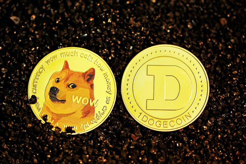 Raise the Woof with these Doggy Cryptos! Shiba Inu, Floki Inu, Dogetti