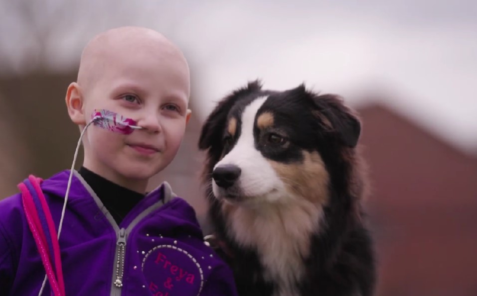 Young girl battling stage 4 cancer wins hearts at Crufts with second-place winning