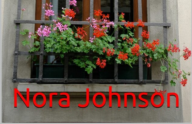 Nora Johnson: Do you really know your neighbours?