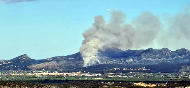 Image of the forest fire declared in the Casella region near Murta de Alzira in Valencia.