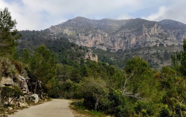 Helicopter rescues six trapped hikers after forest fire breaks out near Valencian town of Barx