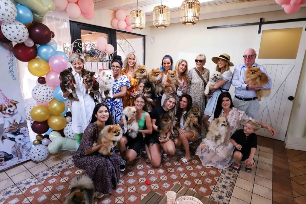 community at a dog party in Marbella