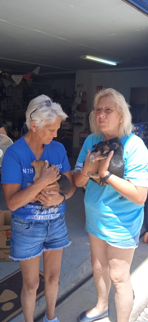 two women holding puppies at the AADR