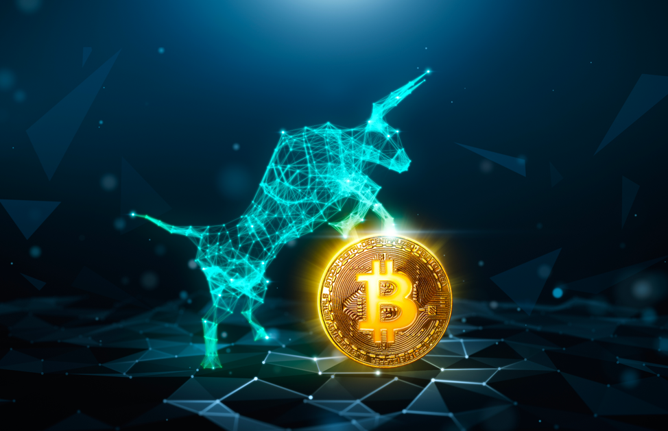 Cheeks Token DigiToads (TOADS) gains major traction among Investors, outshining ...