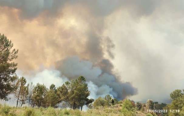 Image of the forest fire in the Las Hurdes region of Extremadura.