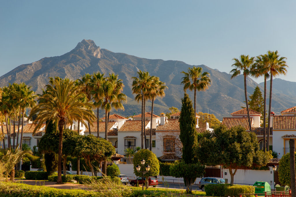 The best real estate advisers on the Costa del Sol