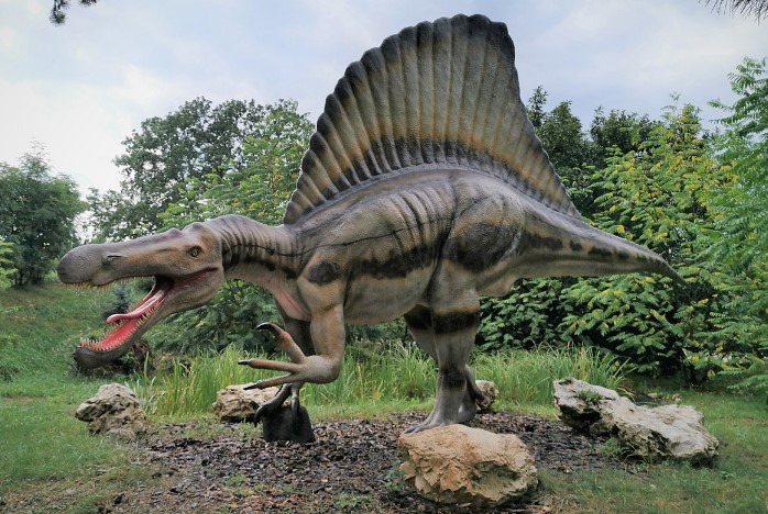 Image of a Spinosaurus.