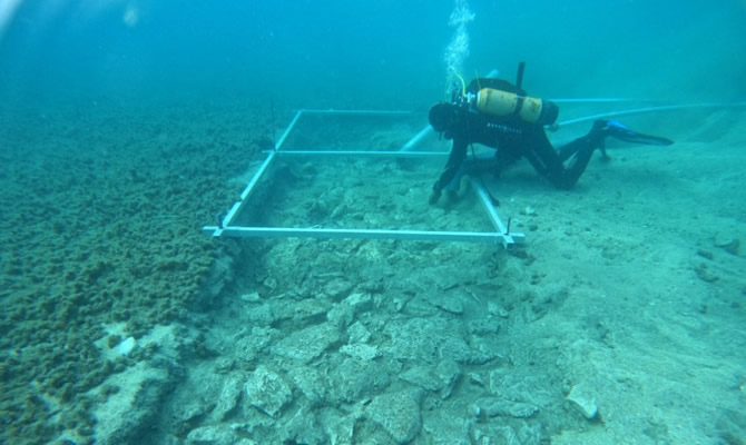 Image of 7,000-year-old road discovered under the Mediterranean Adriatic Sea.