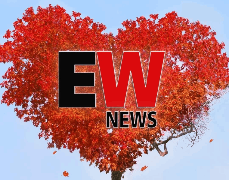 A logo of the Euro Weekly News over a heart shaped tree of red leaves