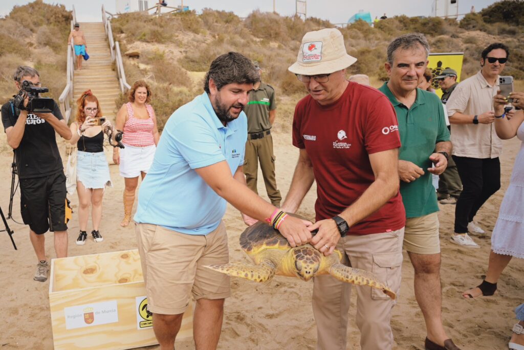 Fernando Lopez Miras releasing a turtle