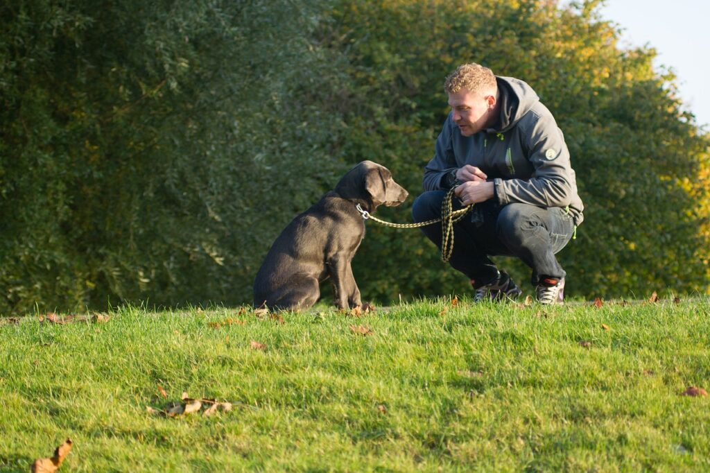 Dog Custody After Splitting Up « Euro Weekly News