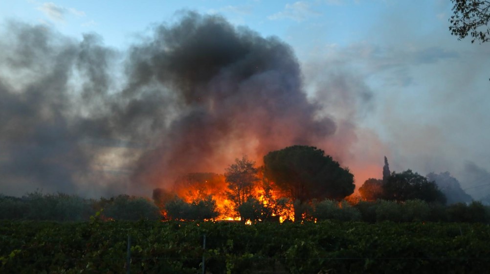 Image of the wildfire in Saint-André, southern France.