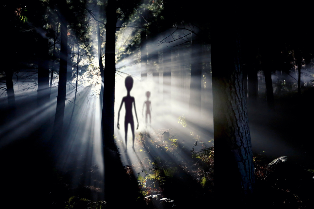 Image of 'aliens' in a forest setting.